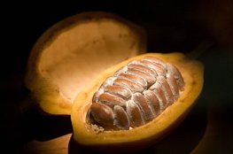 iStock_000001456657XSmall